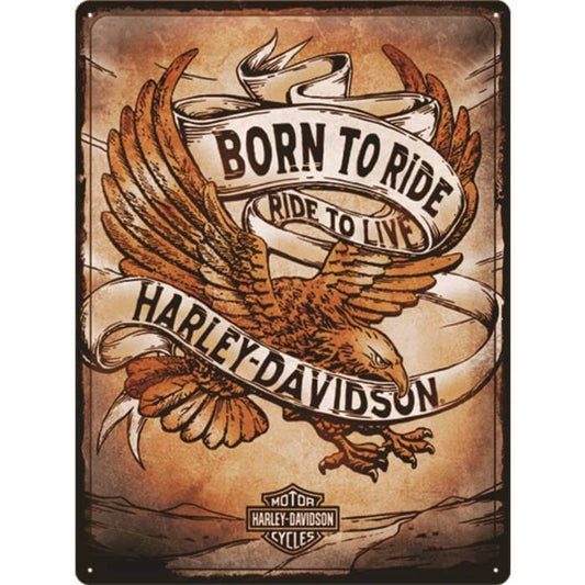 Harley Davidson - born to ride