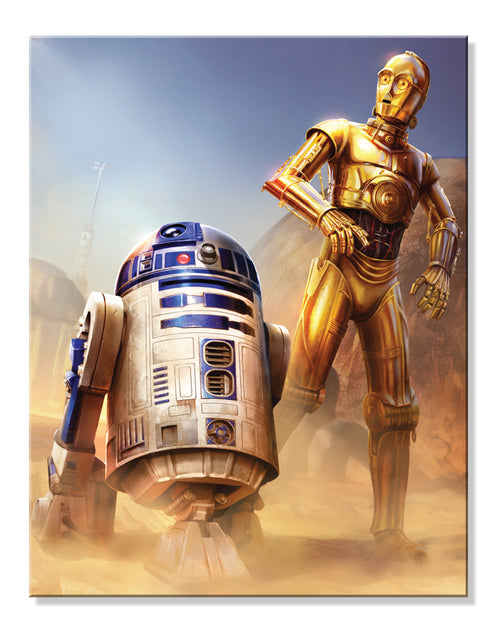 C3PO & R2D2 Star wars