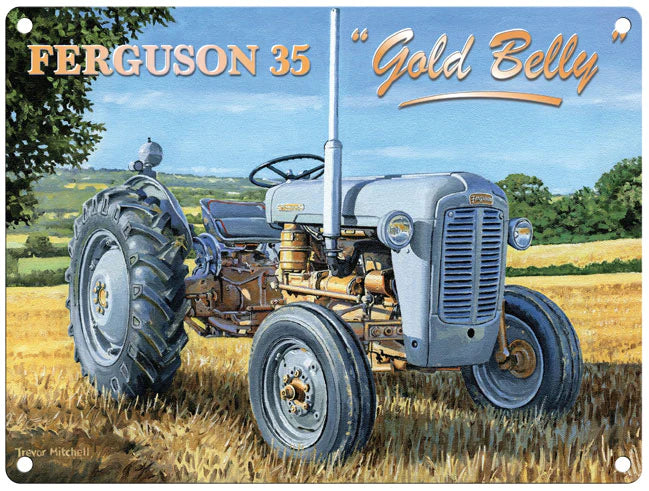Ferguson 35 "Gold Belly"
