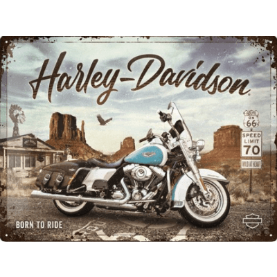 Harley Davidson - born to ride