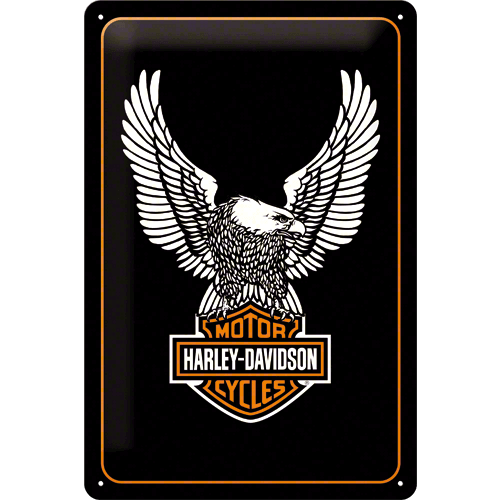 Harley Davidson eagle